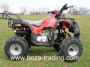 ATV 125 ccm GRIZLY automatic cu marsalier. LIVRAREA GRATUITA IN TARA! Imp. Germania