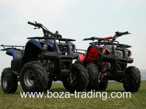 ATV 125 ccm GRIZLY automatic cu marsalier. LIVRAREA GRATUITA IN TARA! Imp. Germania