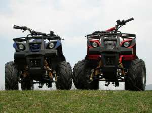ATV 125 ccm GRIZLY automatic cu marsalier. LIVRAREA GRATUITA IN TARA! Imp. Germania