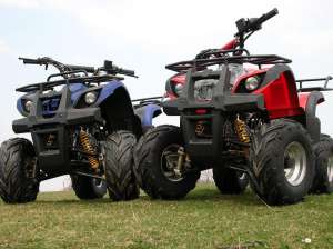 ATV 125 ccm GRIZLY automatic cu marsalier. LIVRAREA GRATUITA IN TARA! Imp. Germania