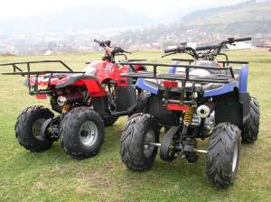 ATV 125 ccm GRIZLY automatic cu marsalier. LIVRAREA GRATUITA IN TARA! Imp. Germania
