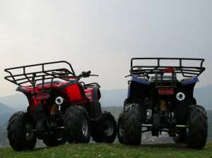 ATV 125 ccm GRIZLY automatic cu marsalier. LIVRAREA GRATUITA IN TARA! Imp. Germania