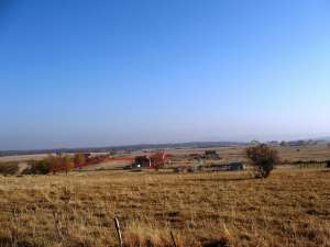 800,  1000,   1500,  2000,   4000 mp teren Valea Avrigului Sibiu