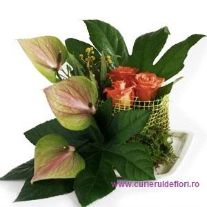 livrare flori