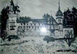 Oferta Tablouri desene picturi