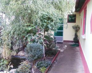 CASA DE VANZARE