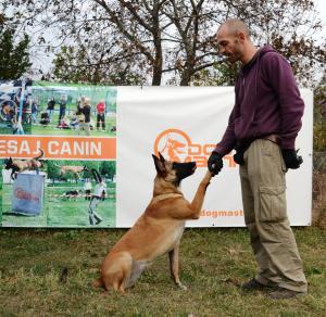 DRESAJ CANIN CLUJ Scoala de dresaj DOGMASTER,    DRESAJ CANIN CLUJ,       DRESOR CLUJ,     DRESAJ CA