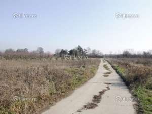 Teren jandarmerie,         baneasa,         intravilan,         11669 mp