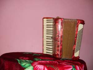 vand acordeon hohner IM