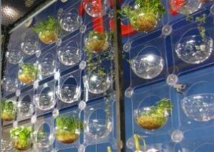 ACRYLIC WALL SCREEN