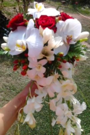 Organizare nunti,  evenimente festive, 