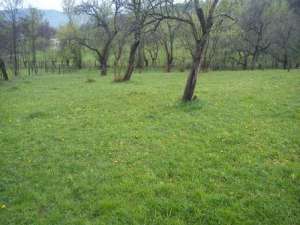 teren ieftin la munte zona superba