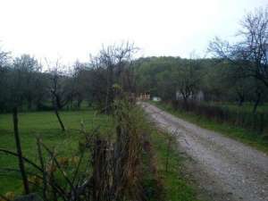 teren ieftin la munte zona superba