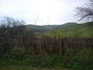 teren ieftin la munte zona superba