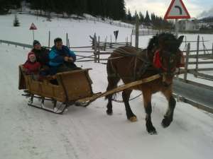 cal de v�nzare