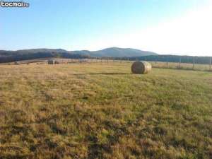 teren cu plata in transe 2100 mp strada crasnei