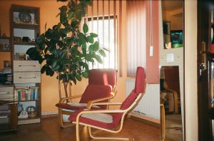 vanzare casa superba