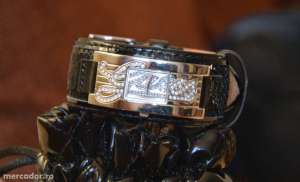 ceas guess