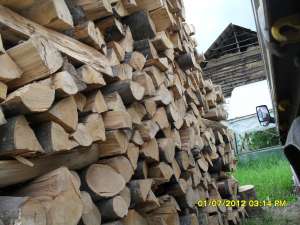 vind lemn foc fag transport la domiciliu 3, 5to buzau