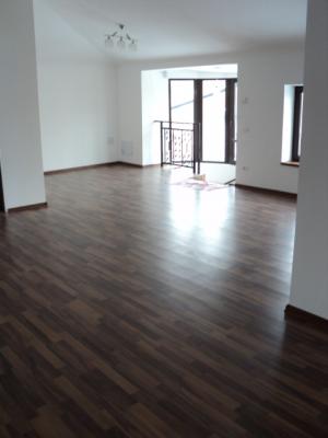 Unirii Parcul Carol vila de inchiriat constructie 2013