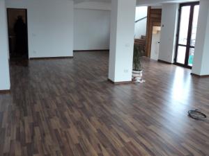 Unirii Parcul Carol vila de inchiriat constructie 2013