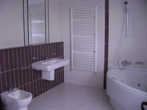 VANZARE AP.3 CAMERE-IANCU NICOLAE