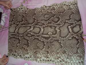 vand piele sarpe piton