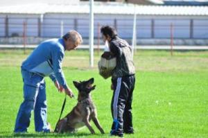 DRESAJ CANIN DEVA