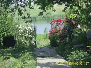 Balotesti  deschidere directa la lac