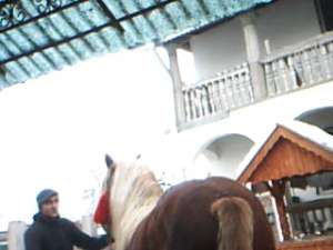 CAI DE VANZARE 2013