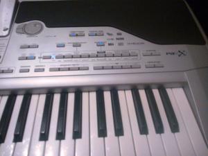 Vand Korg pa1x.