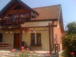 CONSTRUIM CASE LA CHEIE,  HALE METALICE