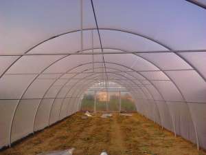 SOLARII PT AGRICULTURA IEFTINE