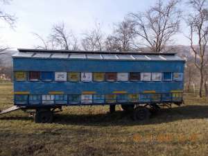 Vand pavilion apicol 56 familii