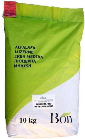 vand seminte de lcerna si arpagic