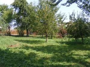 Vand casa,  teren si anexe in Horodnic de Sus,  jud. Suceava