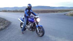 honda hornet
