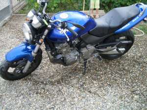 honda hornet