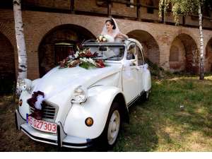Masina de epoca inchiere nunti Mures Citroen 2CV