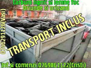 lemne foc si carbuni lignit