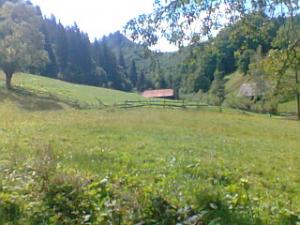 TEREN INTRAVILAN