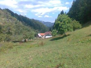 TEREN INTRAVILAN