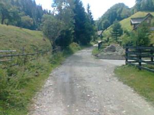 TEREN INTRAVILAN