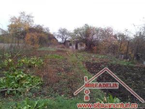 INCHIRIEM CASA 4 CAMERE,    SINGUR IN CURTE � TURNISOR