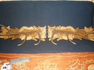 PANOPLI