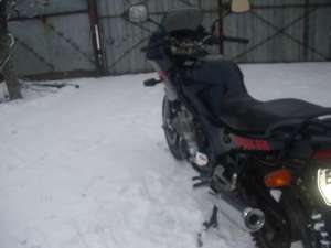 Yamaha xj600s Diversion
