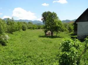 Teren cu casa