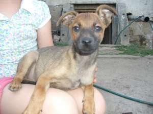Donatie