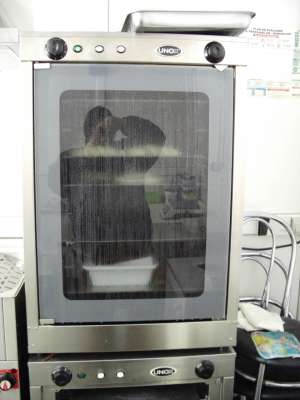 Vand linie de gogosi. Pret 3000 eur
