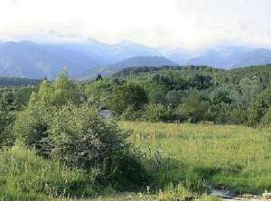 Vand 2300mp teren montan pentru vila de vacantaq, pensiune pastravarie valea Porumbacului-Sibiu